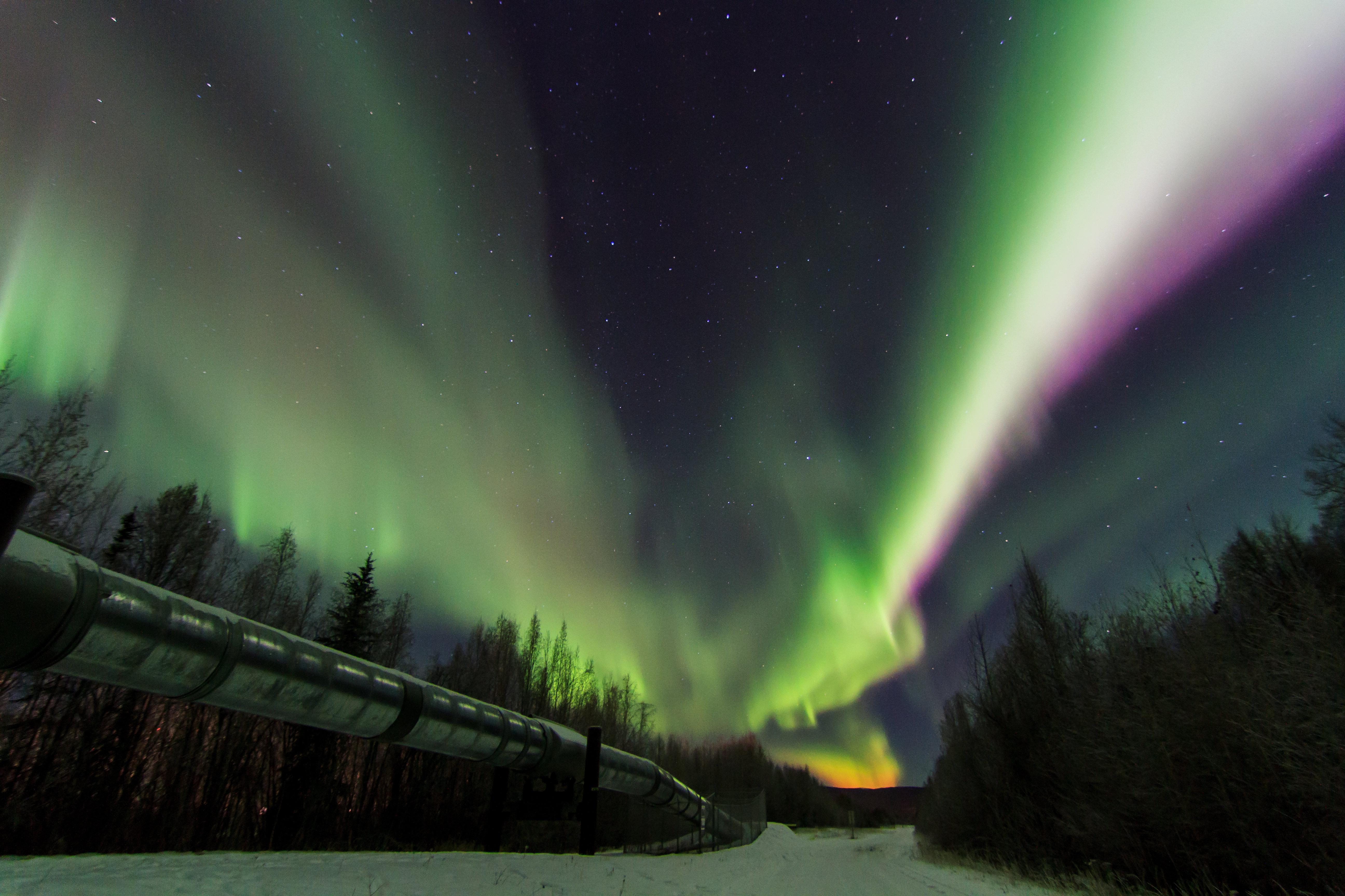 Staybridge Suites Anchorage By Ihg Luaran gambar